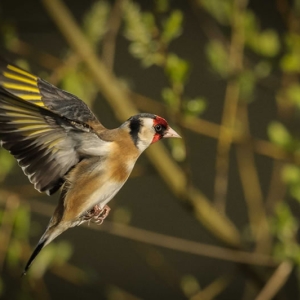 Untitled (339 Of 343).jpg